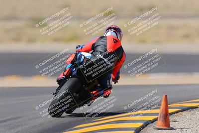 media/Oct-08-2022-SoCal Trackdays (Sat) [[1fc3beec89]]/Turn 11 Backside (1145am)/